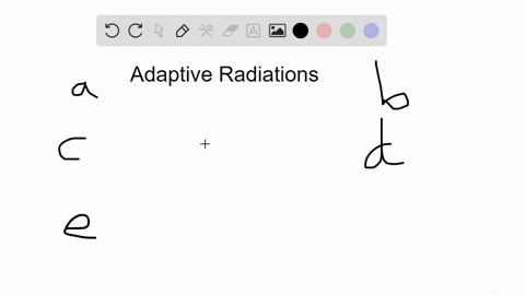 adaptive-radiations-often-follow-mass-extinctions-because-a-mass-extinctions-limit-the-impact-of-pae