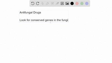 mycologist-john-taylor-of-the-university-of-california-berkeley-suggests-that-a-close-biochemical-re