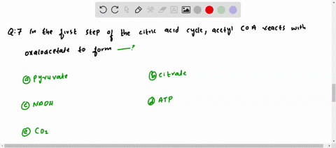 in-the-first-step-of-the-citric-acid-cycle-acetyl-coa-reacts-with-oxaloacetate-to-form-a-pyruvate-b-