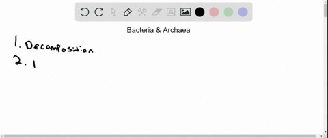 give-five-examples-that-illustrate-how-bacteria-and-archaea-are-important-to-other-types-of-organism