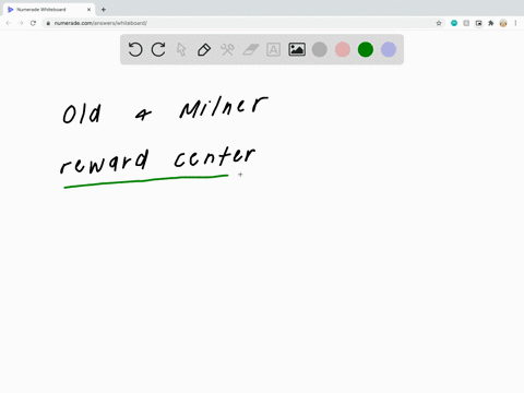 the-initial-reward-center-discovered-by-olds-and-milner-was-located-in-the-______________