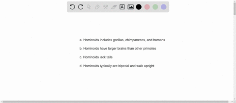 which-of-the-following-statements-about-the-hominoids-is-false-a-hominoids-include-gorillas-chimpanz
