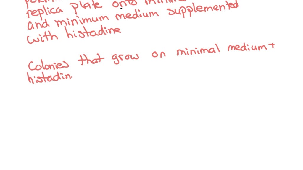 SOLVED: The Ames test uses the reversion rate (His ^- to His ^+ ) to ...