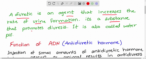 what-is-a-diuretic-describe-the-function-of-antidiuretic-hormone-adh