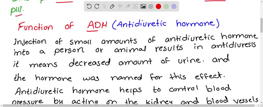 SOLVED What Is A Diuretic Describe The Function Of Antidiuretic 