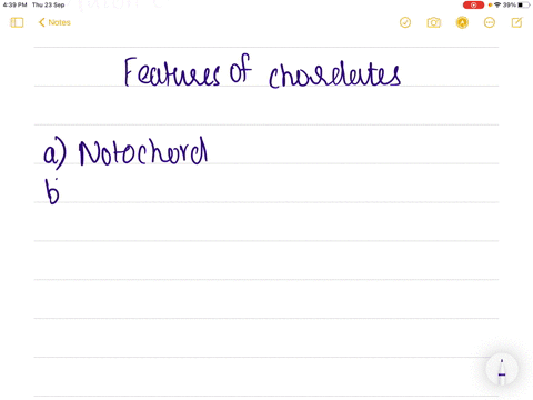 which-of-the-following-are-the-features-of-chordates-1-notrchord-is-present-2-cns-is-dorsal-hollow-a