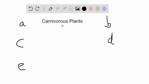 being-carnivorous-is-a-plant-adaptation-to-obtain-a-oxygen-b-phosphorus-c-potassium-d-nitrogen-e-car