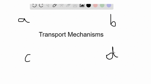 facilitated-transport-differs-from-diffusion-in-that-facilitated-diffusion-a-involves-the-passive--2