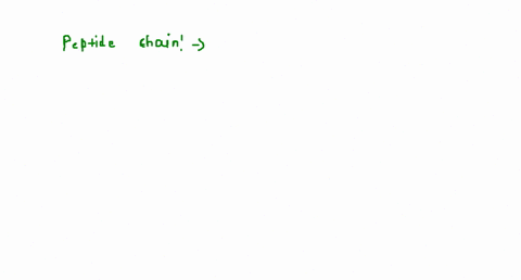 which-one-of-the-following-structures-represents-the-peptide-chain