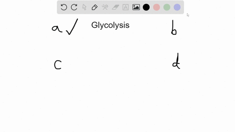 atp-production-during-glycolysis-a-requires-an-enzyme-b-occurs-in-the-cytosol-c-occurs-via-substrate