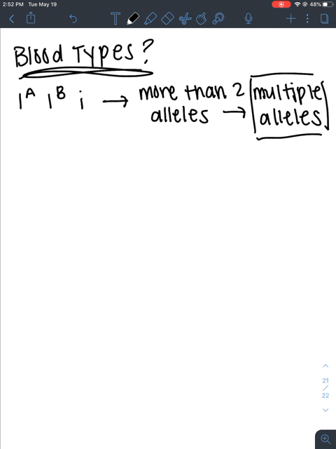 which-two-terms-best-describe-the-inheritance-of-human-blood-types-a-incomplete-dominance-and-codomi