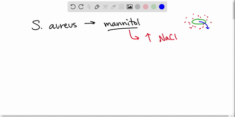 fill-in-the-blank-staphylococcus-aureus-can-be-grown-on-multipurpose-growth-medium-or-on-mannitol-sa