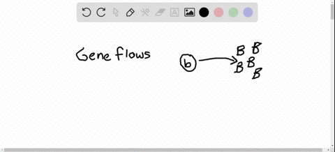 true-or-false-gene-flow-can-either-increase-or-decrease-the-average-fitness-of-a-population