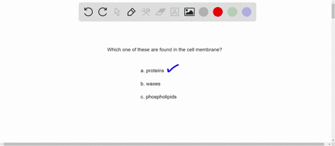 which-of-the-following-are-found-in-cell-membranes-a-proteins-b-waxes-c-phospholipids