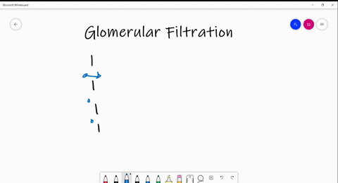 which-of-the-following-substances-would-normally-not-pass-through-the-glomerular-filter-a-water-b-io