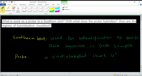 what-is-used-as-a-probe-in-a-southern-blot-with-what-does-the-probe-hybridize-how-are-the-regions-of