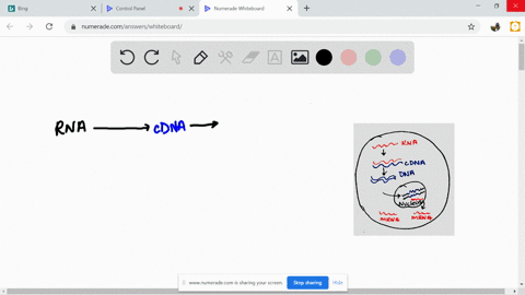 what-is-reverse-transcription