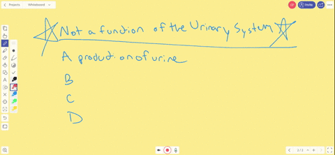 which-of-the-following-is-not-a-specific-function-of-the-urinary-system-a-production-of-urine-b-main