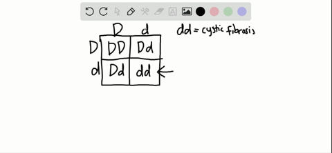a-man-and-woman-are-both-heterozygous-for-the-recessive-allele-that-causes-cystic-fibrosis-what-is-t
