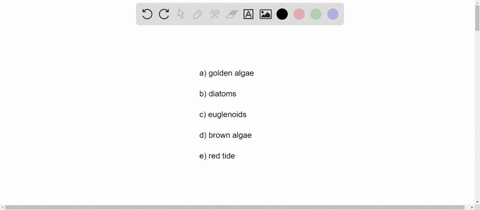 kelps-are-___-with-multicellular-bodies-differentiated-into-blades-stipes-holdfasts-and-gas-filled-f