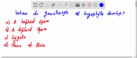 the-gametophyte-of-bryophyte-develops-from-a-a-haploid-spore-b-a-diploid-spore-c-zygote-d-none-of-th