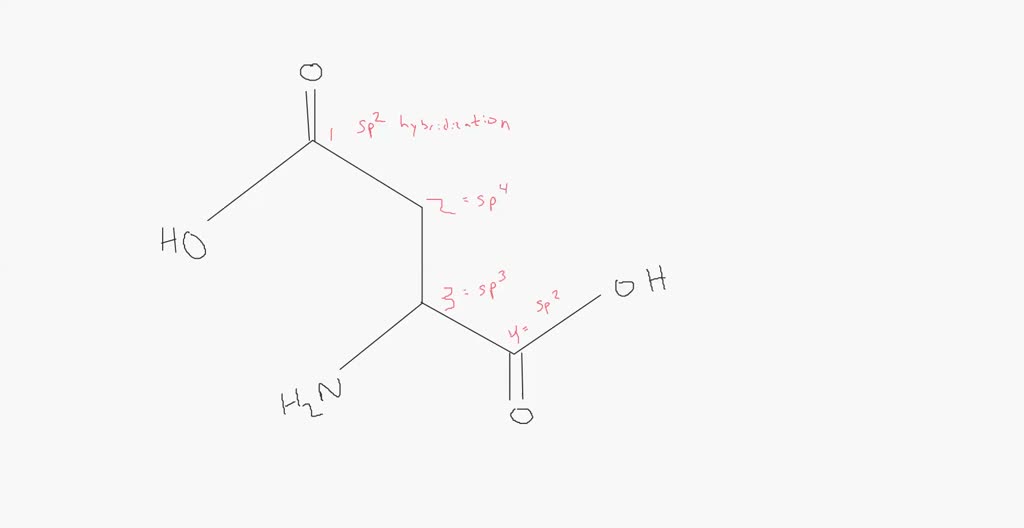 Aspartic acid is an essential component of proteins. It has the basic ...