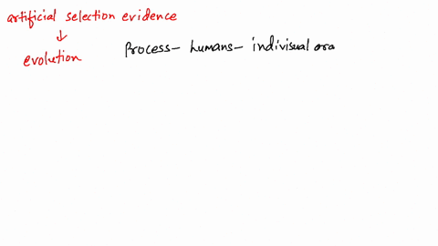 what-can-artificial-selection-tell-us-about-evolution-is-artificial-selection-a-good-analogy-for-the