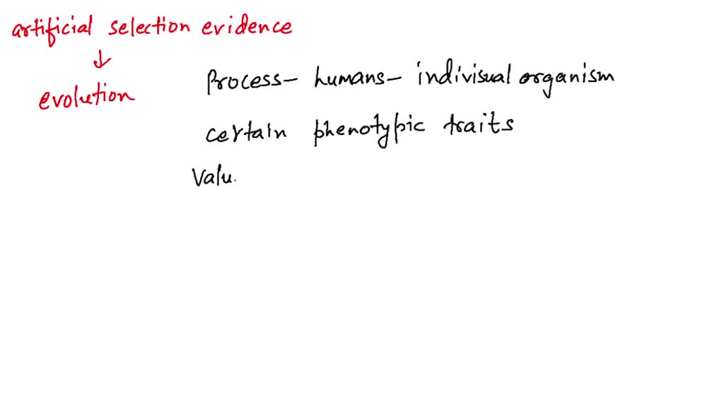 SOLVEDWhat can artificial selection tell us about evolution? Is