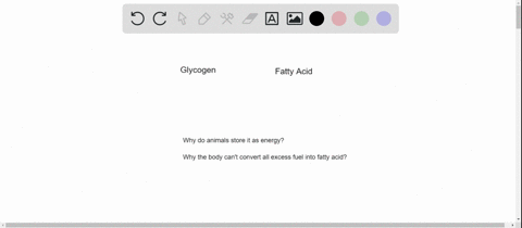 glycogen-is-not-as-reduced-as-fatty-acids-are-and-consequently-not-as-energy-rich-why-do-animals-sto