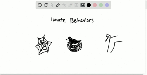certain-behaviors-do-not-require-past-training-such-behaviors-tend-to-be-the-same-in-all-individuals
