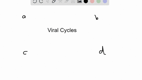 which-of-the-following-statements-is-false-a-in-the-lytic-cycle-new-phages-are-produced-and-released