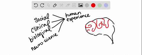a-researcher-interested-in-how-changes-in-the-cells-of-the-hippocampus-a-structure-in-the-brain-rela