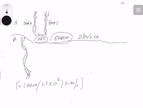 look-carefully-at-the-micrograph-and-corresponding-sketch-2-in-figure-6-9-a-using-the-scale-bar-esti