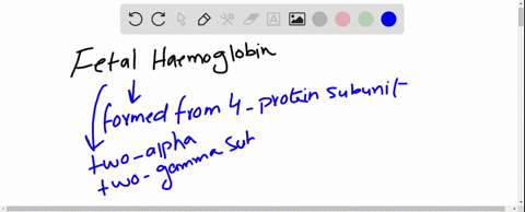 a-what-is-the-difference-in-the-quaternary-structure-between-fetal-hemoglobin-and-adult-hemoglobin-3