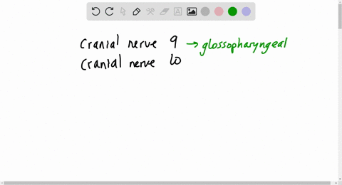 which-nerve-is-responsible-for-controlling-the-muscles-that-result-in-the-gag-reflex-a-trigeminal-b-