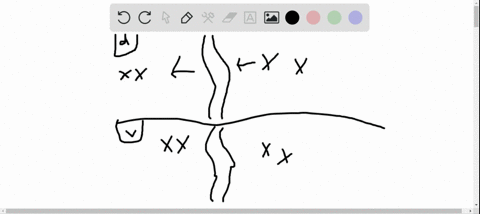 what-is-the-main-difference-between-dispersal-and-vicariance-a-one-leads-to-allopatric-speciation--2