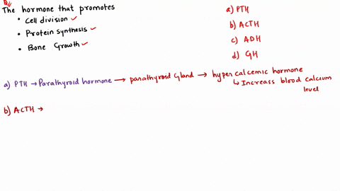 which-hormone-promotes-cell-division-protein-synthesis-and-bone-growth-a-mathrmpth-b-mathrmacth-c-ma
