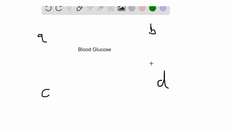 the-bodys-inability-to-regulate-blood-glucose-levels-is-a-characteristic-of-a-hypertension-b-cancer-