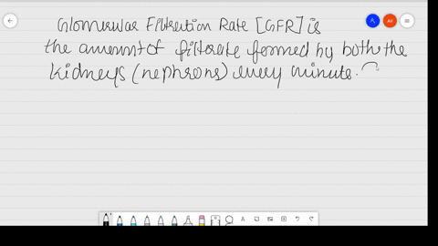 define-glomerular-filtration-rate-gfr