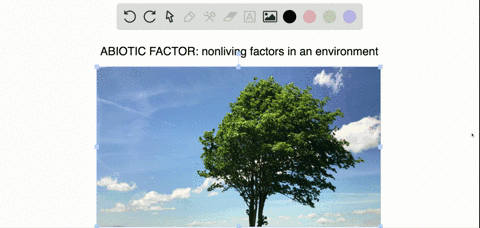 which-would-be-an-abiotic-factor-for-a-tree-in-the-forest-a-a-caterpillar-eating-its-leaves-b-wind-b