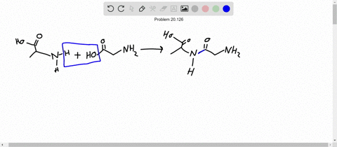 alpha-amino-acids-are-organic-acid-molecules-that-also-happen-to-contain-an-amino-group-left-mathrmn