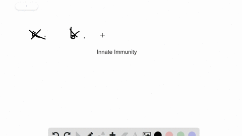 which-of-the-following-is-not-part-of-innate-immunity-a-phagocytes-b-fever-c-histamines-d-complement