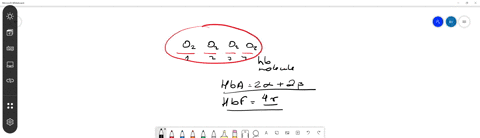the-hemoglobin-of-a-human-fetus-a-is-the-same-as-that-of-an-adult-b-has-a-higher-affinity-for-mathrm