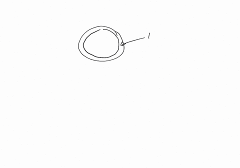 describe-the-composition-and-function-what-is-the-function-of-the-lipid-bilayer-in-a-cell-membrane