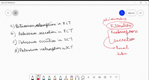 excretion-of-potassium-is-governed-primarily-by-a-potassium-reabsorption-in-proximal-condz-tubule-b-