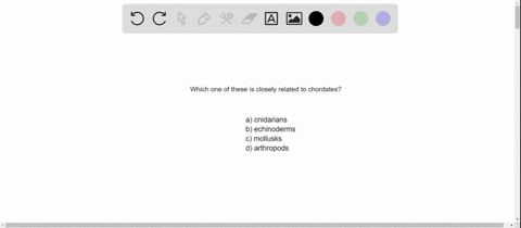 chordates-are-most-closely-related-to-________-a-cnidarians-b-echinoderms-c-mollusks-d-arthropods