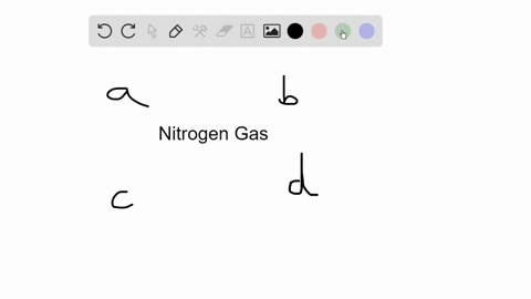 _________-convert-nitrogen-gas-to-a-form-producers-can-take-up-a-fungi-b-bacteria-c-mammals-d-mosses