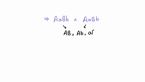 this-problem-examines-possible-biochemical-explanations-for-variations-of-mendels-9-3-3-1-ratio-exce