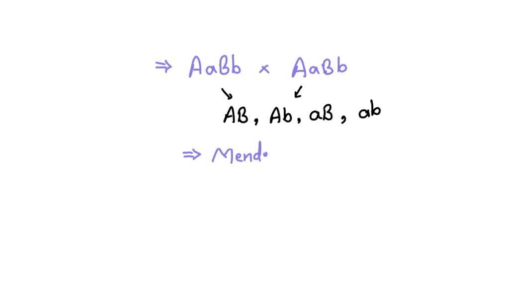 SOLVED This Problem Examines Possible Biochemical Explanations For 