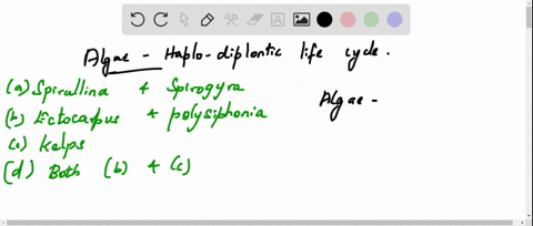 algae-showing-haplodiplontic-life-cycle-are-a-spirullina-and-spirogyra-b-ectocarpus-and-polysiphonia